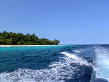 2004 Meedhupparu Malediven,_DSC03650 B_478